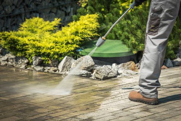 Best House Exterior Washing  in Burney, CA