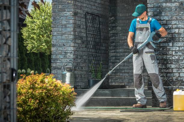 Best Soft Washing  in Burney, CA